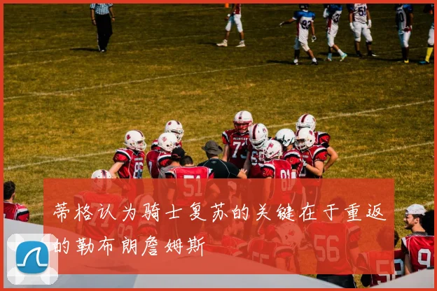 蒂格认为骑士复苏的关键在于重返的勒布朗詹姆斯