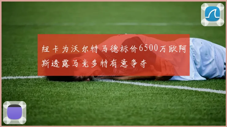 纽卡为沃尔特马德标价6500万欧阿斯透露马竞多特有意争夺